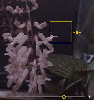 ⑥ 	Tap the Viewfinder to reveal the square focus reticle, which indicates where the camera is focused.