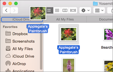 ③ 	When you drag a file from one folder to another, a selection outline will appear around the target tab’s name.