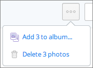 **④** This unobtrusive pop-up menu lets you add photos to an album.