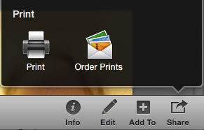 **③** One of the options available when you click the Share button (shown here in iPhoto) is to order prints.